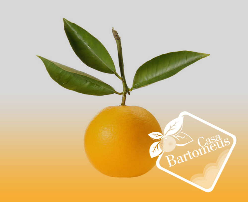 Casa Bartomeus - Botiga d'alimentació