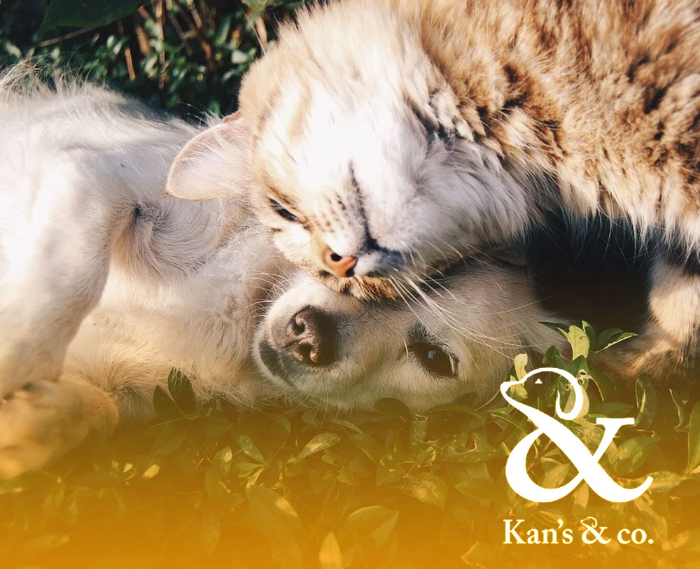 kan's & Co - Botiga veterinària