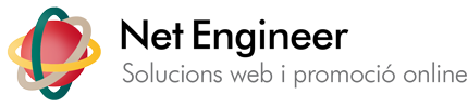 Net Engineer